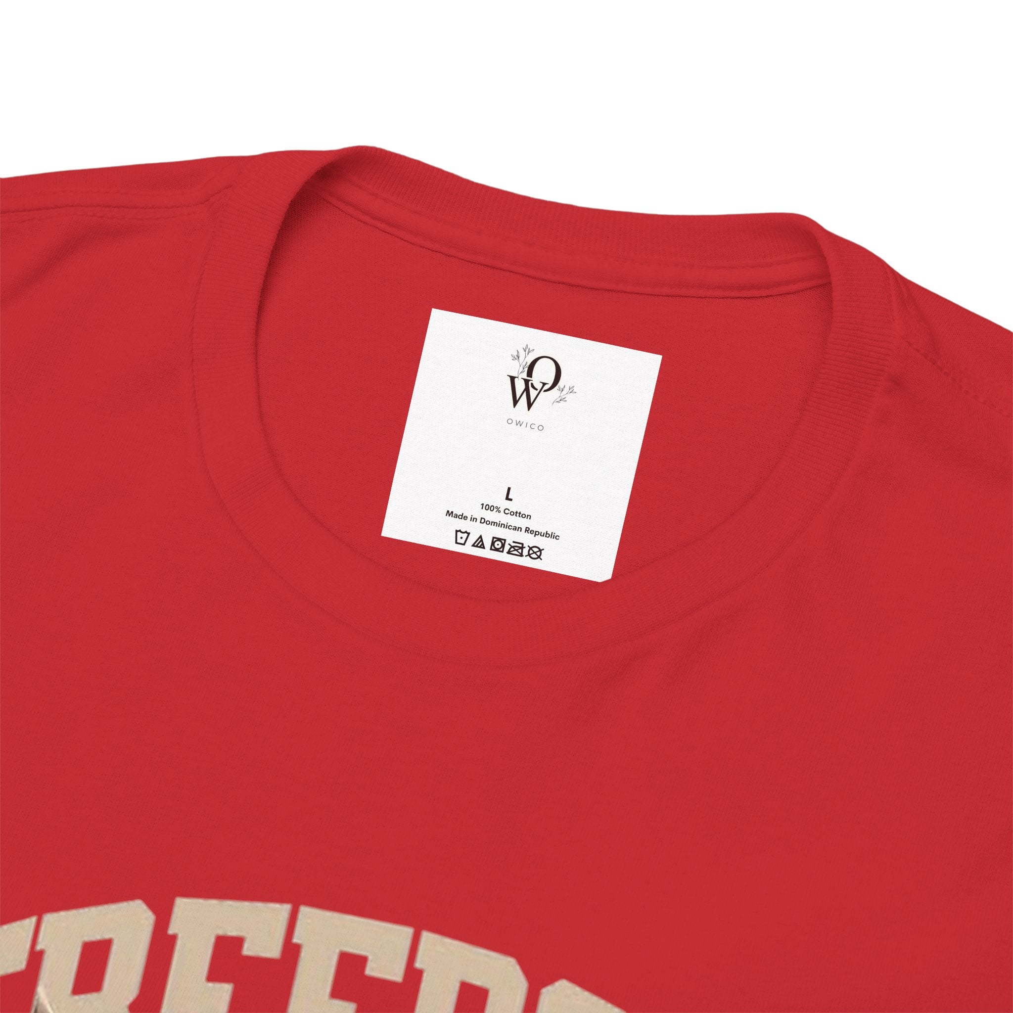 Freedom America Unisex Heavy Cotton Tee, Patriotic T-Shirt, Independence Day Gift, USA Shirt, Casual Wear, Men's and Women's Apparel