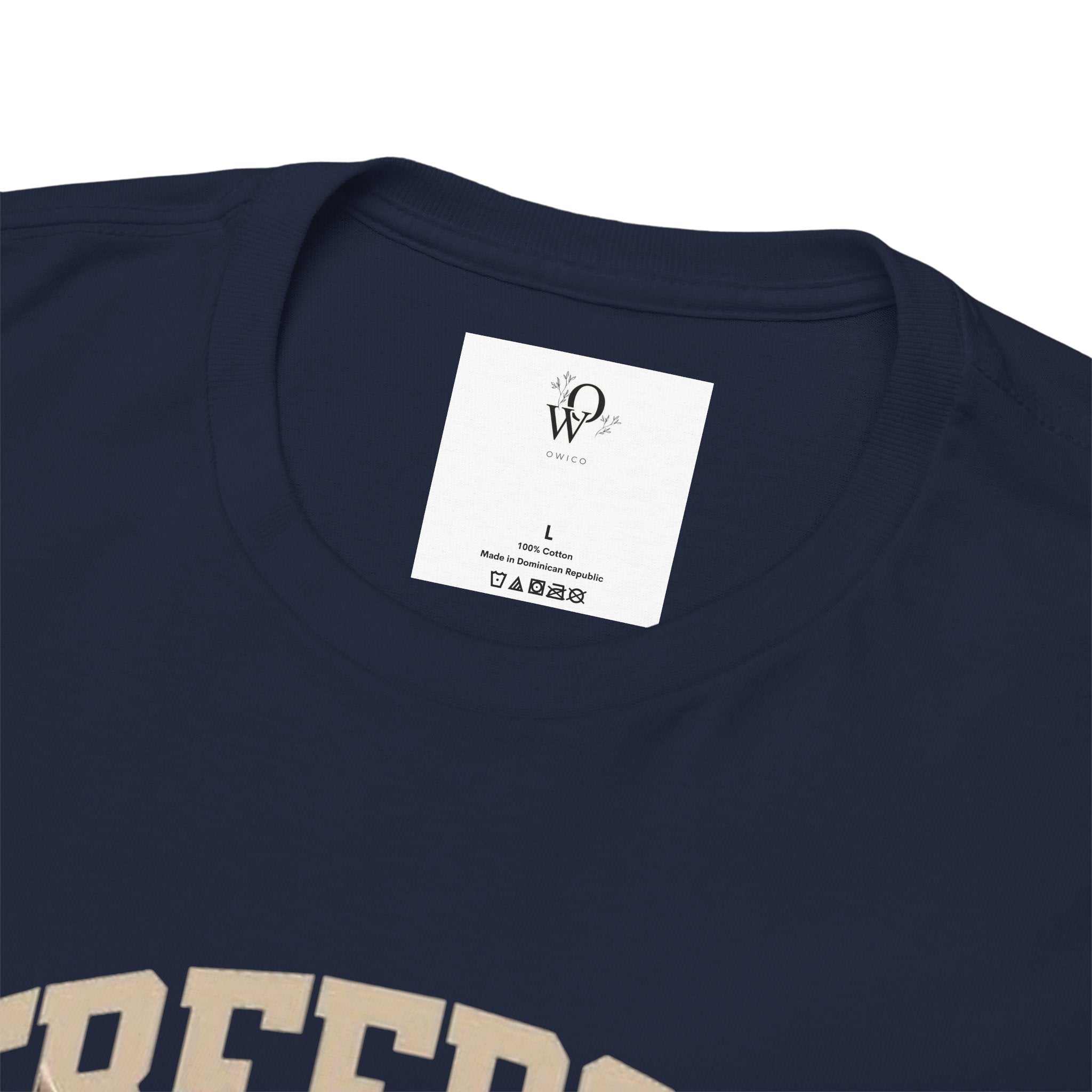 Freedom America Unisex Heavy Cotton Tee, Patriotic T-Shirt, Independence Day Gift, USA Shirt, Casual Wear, Men's and Women's Apparel