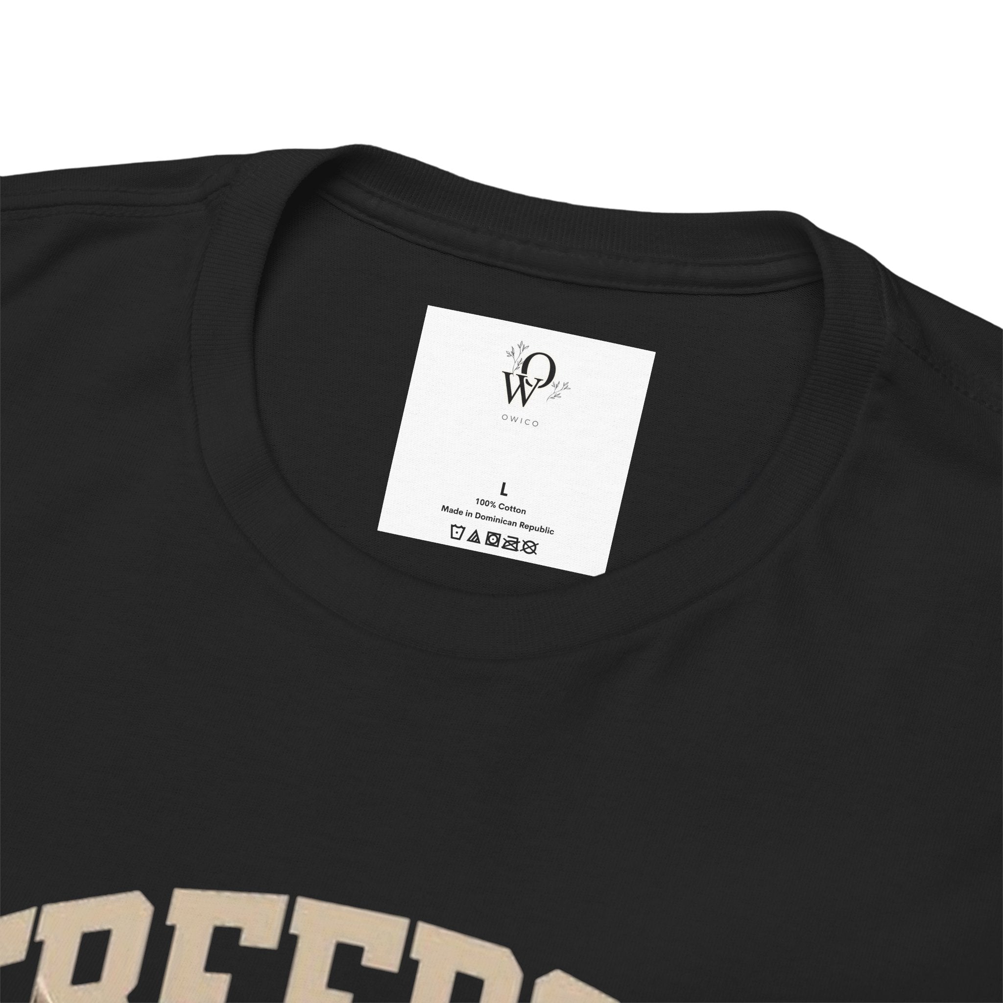 Freedom America Unisex Heavy Cotton Tee, Patriotic T-Shirt, Independence Day Gift, USA Shirt, Casual Wear, Men's and Women's Apparel