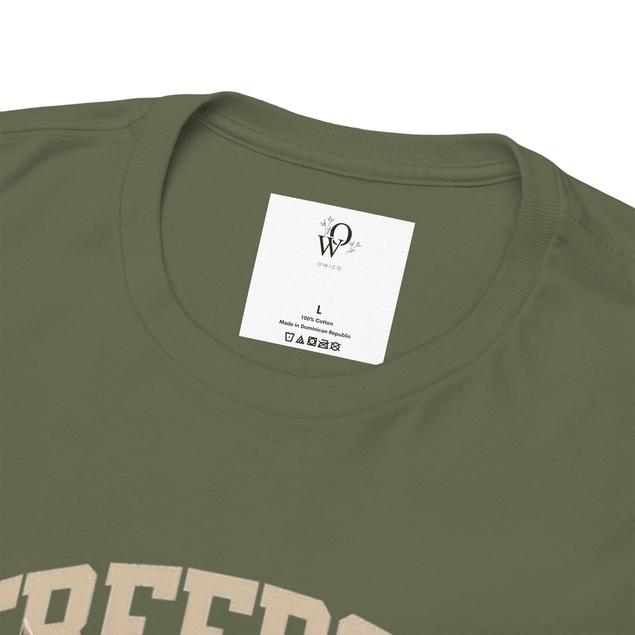 Freedom America Unisex Heavy Cotton Tee, Patriotic T-Shirt, Independence Day Gift, USA Shirt, Casual Wear, Men's and Women's Apparel